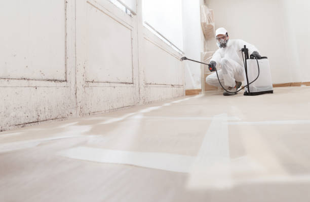 24/7 Emergency Mold Remediation experts in Hollywood, FL